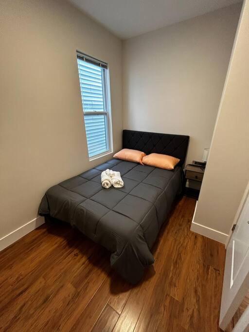 7 Bedroom House! Walk To Niagara Falls! New Whole House * Niagara Falls